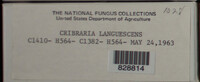 Image Associated With the Occurence